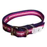 Collar Perro Mascota Mini Pequeño 39cm Paseo Polipropileno