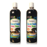2 Shampoo Anticaída Biotina Y Cola De Caballo Orbinat 1 L 