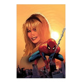Spectacular Spider-man Vol. 5: Sins Remembered Tpb - Barnes,