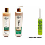 Biocres 10 Kit X 3 -shampoo-tratamiento Y 6 Ampollas X 13 Ml