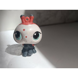  Little Pets Shops Lady Bug