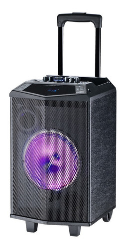      Parlante Karaoke Con Luces De 25w Rms Tagwood