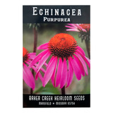Baker Creek Heirloom Seeds Echinacea Purpurea 50 Semillas
