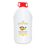 Hd Trend Shampoo De Tratamento E Nutrição Argan - 5l