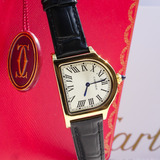 Cartier Ballon Bleu Tank Pasha Driver Santos Dumont Cloche