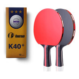 Kit De 2 Raquetas De Ping Pong Con 10 Pelotas