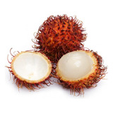 Semillas Rambután Árbol Frutal Exótico X 10 Unidades :-)