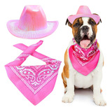 Chapéu De Cowboy Pet Neon Light Shining Space, Roupa Adequad