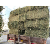 Venta De Pacas De Alfalfa