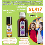 Set Esencia De Equinacea Y Aceite Rollon Sos Motivation Just