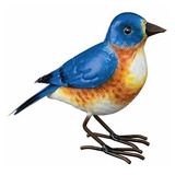 Decoracion De Aves Canoras Reales En Bluebird