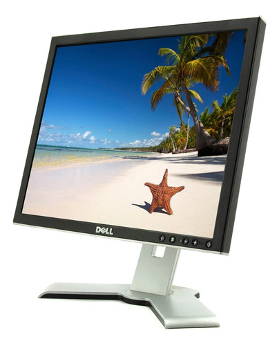 Monitor Dell 17  Polegadas Quadrado Lcd + Cabos + 110v/240v