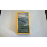 Las Grandes Ballenas National Geographic Video