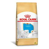 Ração Royal Canin Raca Maltes Puppy 2,5kg