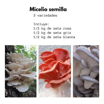 Micelio Semilla 3 Setas (3 Bolsas De 500 Gramos Cada Una) | MercadoLibre