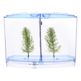 Baby Fish Hatchery Betta Box Small Fish Tank