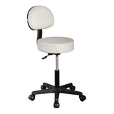 Silla Taburete Banco Consultorio Tatoo Spa Con Respaldo