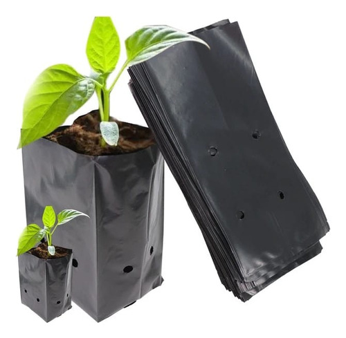 Bolsas Almacigos Para Planta 50x50 Pack 60 Bolsas