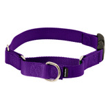 Collar Martingale Petsafe Pqc-m-3/4-dpp Para Perros Medianos