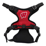 Arnés Unisex Para Adultos De La Ncaa Wisconsin Badgers Con C