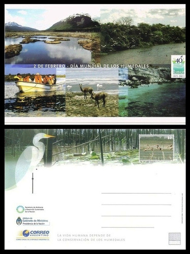 2010 Argentina - Humedales - Tarjeta Postal - Gj Tar-219