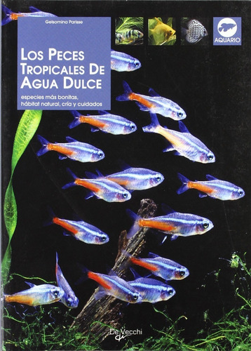 Parisse: Los Peces Tropicales De Agua Dulce