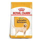 Royal Canin Labrador Adulto 13.6 Kg