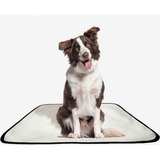 Kit 3 Tapetes Higiênicos Lavável Canino Cães Cachorro 60x80