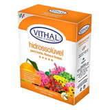 Fertilizante Hidrossolúvel Hidroponia 400g Rende 200l Vithal