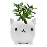 Maceta Mini De Gato Blanco, Porta Lápices Y Plantas, Resina