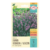 Sementes De Lavanda Verdadeira 200mg- Isla