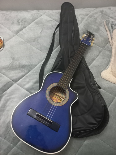 Guitarra Acústica + Forro