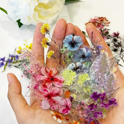 50 Pegatinas Pet Con Flores Para Decoración Impermeable | MercadoLibre