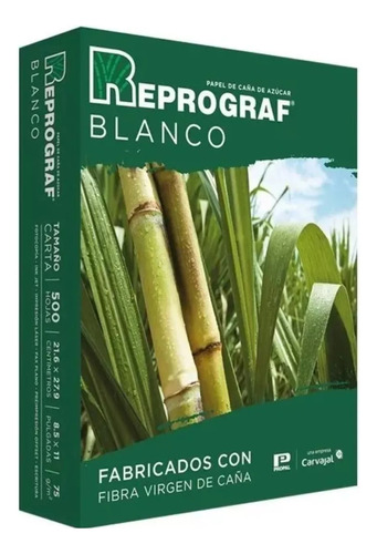 Pliego De Papel Bond Blancas Carta 500 Hojas Reprograf