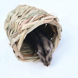 Shineweb Hamster House - Juguete Para Casa De Animales Peque
