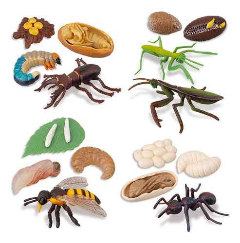 Toymany 16 Figuras De Insectos, Ciclo De Vida Del Escarabaj.
