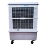 Cooler Enfriador Evaporativo Portátil Ptc12000 Practicool