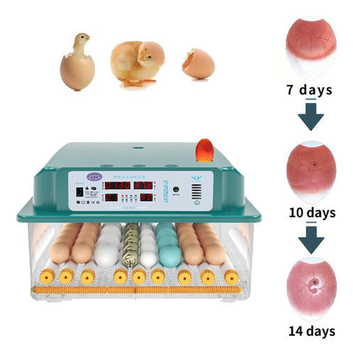 Encubadora Incubadora 16 Huevos Automaticas Ovoscopio De