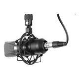 Rad R1 Microfone Condensador De Diafragma Grande Acessórios Cor Prateado