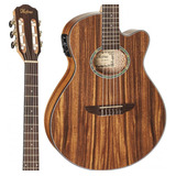 Violão Elétrico Hofma Hmn288 Stnt Nylon