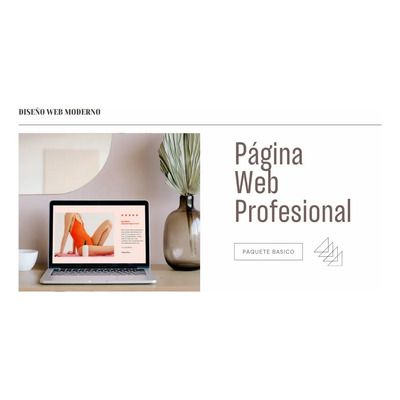 Pagina Web Profesional Paquete Básico