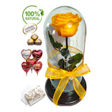 Rosa Preservada Dia De La Madre + Ferrero/luz Led/globo Gran
