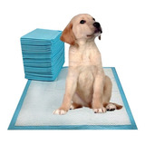 50 Tapetes Entrenamiento Absorbentes Para Mascota 45x60