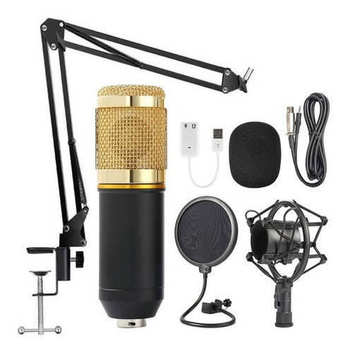 Kit De Micrófono De Condensador Articulado Estéreo Profesional P2, Color Negro Y Dorado