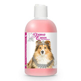 El Drama Blissful Perro Dq-sheltie-16oz Perro Pastor De Shet