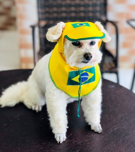 Bandanas E Boné Copa Brasil Para Cães E Gatos