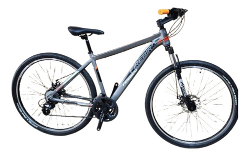 Bicicleta Mtb 29 Fire Bird 24 Velocidades. Dagnino Bikes