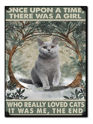 #1342 - Cuadro Vintage 30 X 40 - Gato Gris Gata Poster Cat