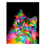 Completa Kit Diamond Painting Pintura De Diamante 5d-gato