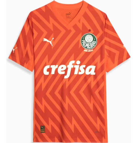 Camiseta Puma Palmeiras Torcedor Gk Third Jersey 24